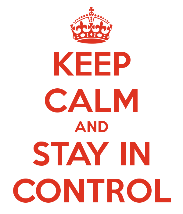 Zijn organisaties beter in-control?