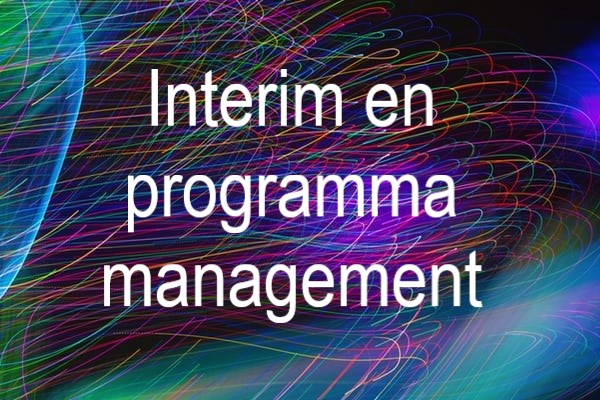 interim-en-programmamanagement-2