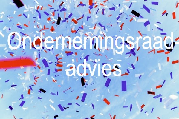 ondernemingsraadadvies-2